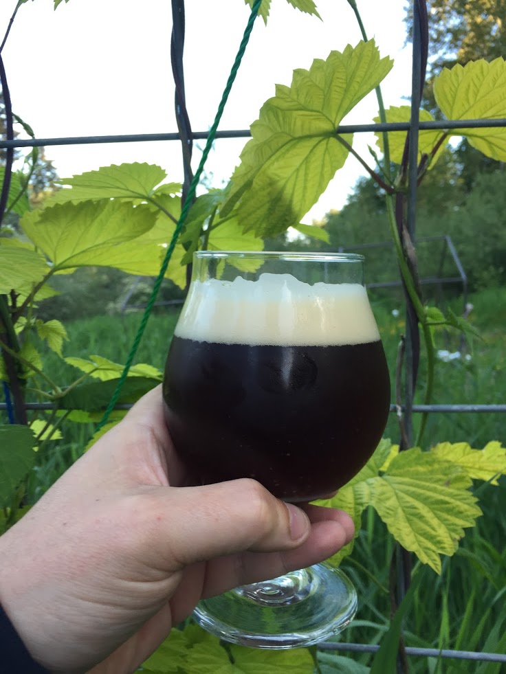 Award Winning Strong Scotch Ale Recipe Bryont Blog